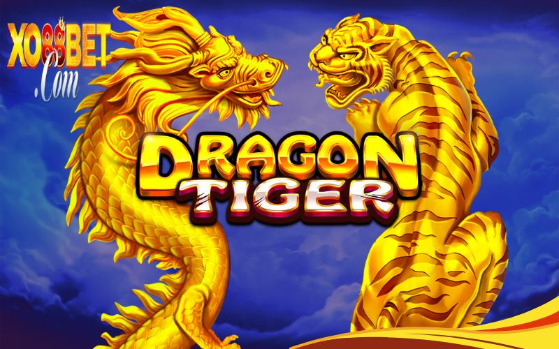 Chơi Dragon Tiger live casino