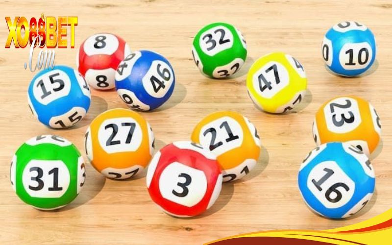 kinh nghiệm bắt lô rơi