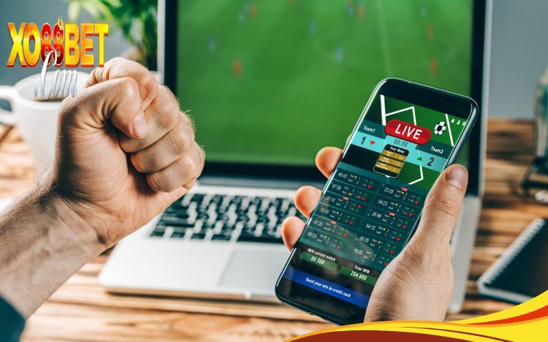 trang cược bóng đá uy tín